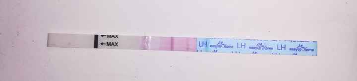 Per chi non le aspetta per febbraio 2020 - 1