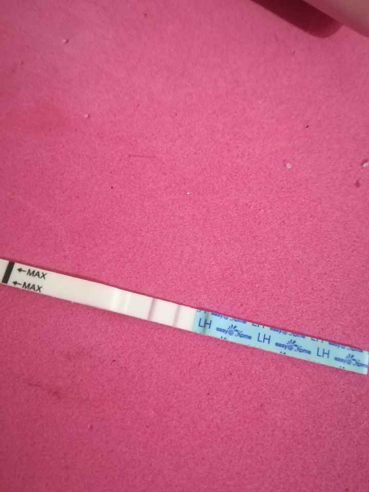 Per chi non le aspetta per febbraio 2020 - 1