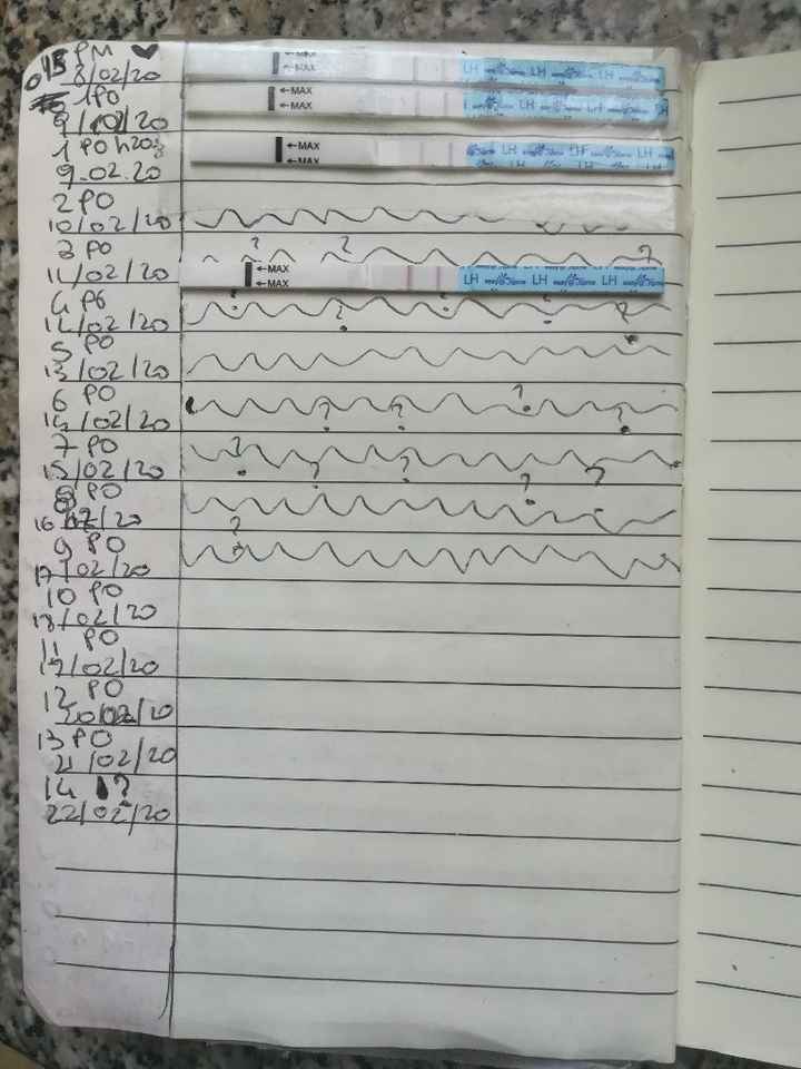 Per chi non le aspetta per febbraio 2020 - 2