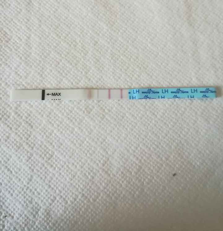 Per chi non le aspetta per febbraio 2020 - 1