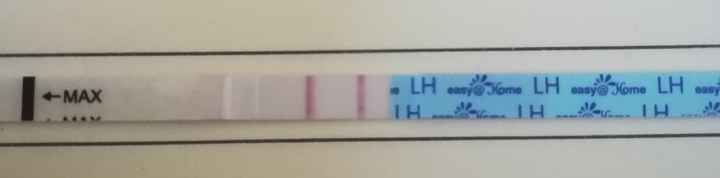 Per chi non le aspetta per febbraio 2020 - 1