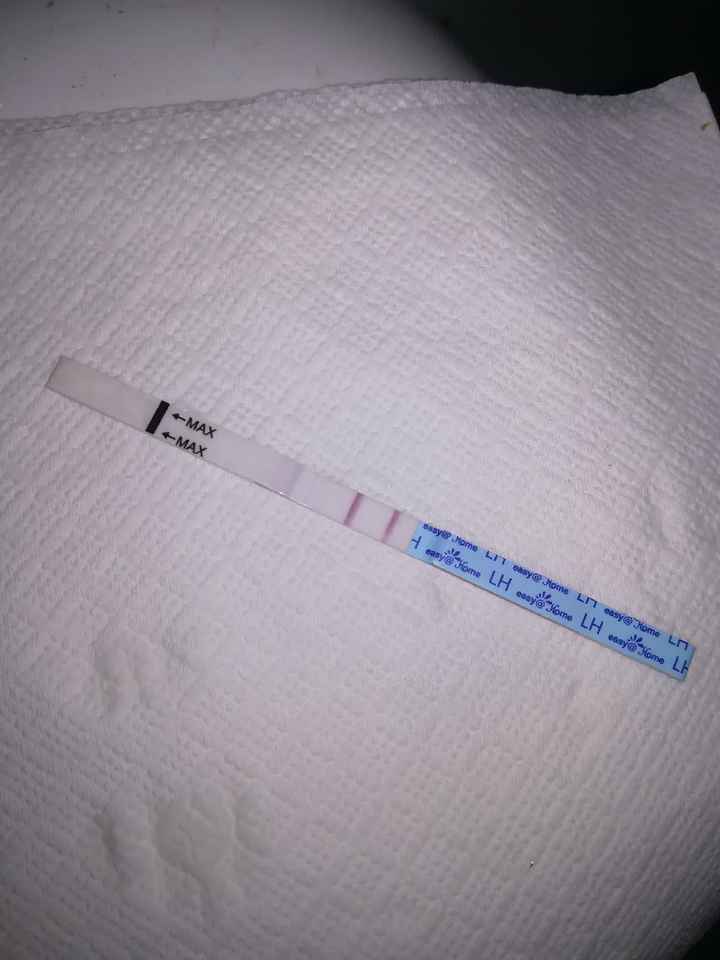 Per chi non le aspetta per febbraio 2020 - 1