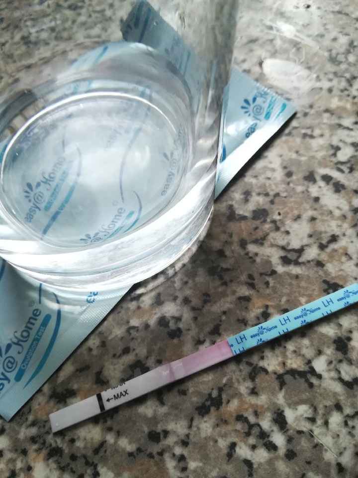 Per chi non le aspetta per febbraio 2020 - 1