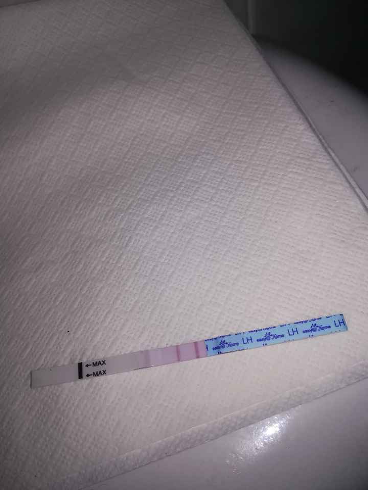 Per chi non le aspetta per febbraio 2020 - 1