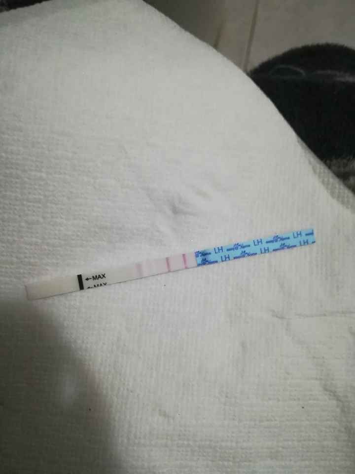 Per chi non le aspetta per febbraio 2020 - 1