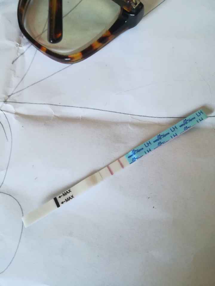 Per chi non le aspetta per febbraio 2020 - 1