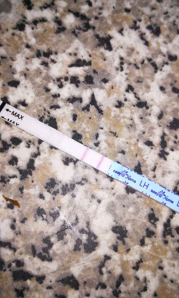 Per chi non le aspetta per febbraio 2020 - 1