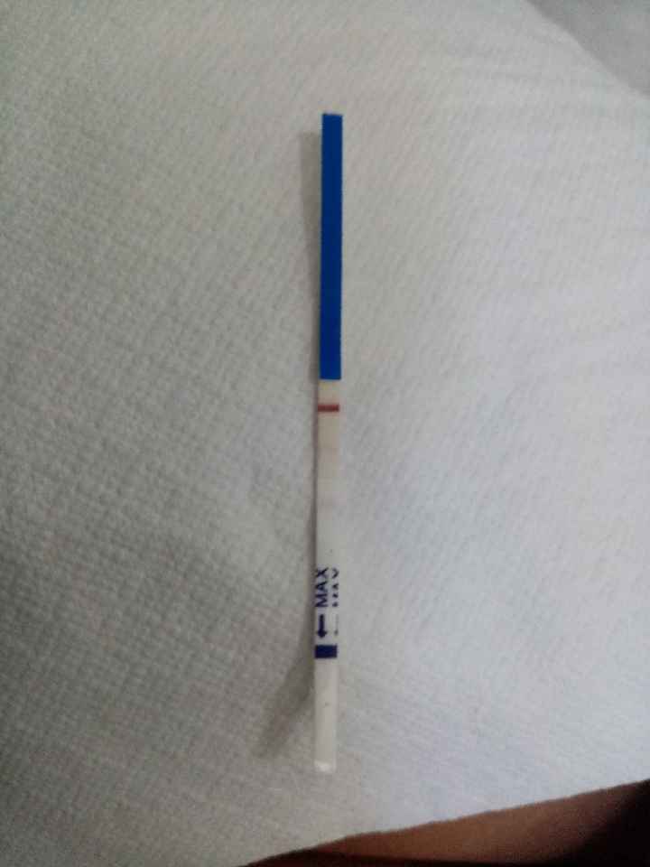 🌺Chi non le aspetta per agosto 🎁🏖️🌞💛💚❤️💝🌻🌷 - 1