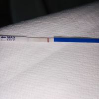 🌺Chi non le aspetta per agosto 🎁🏖️🌞💛💚❤️💝🌻🌷 - 2