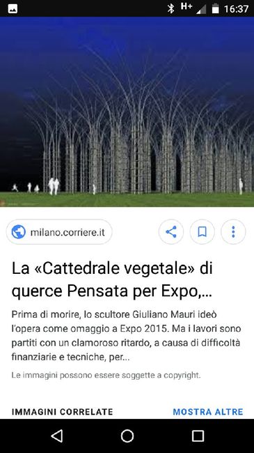 Matrimonio nel Bosco... Possibile?!?!? 1