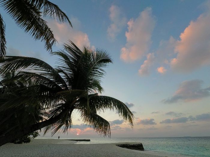 Maldive, Meeru Island Resort and Spa - 3