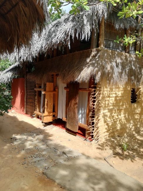 Aiuto ,luna di miele qualche consiglio ? - 2