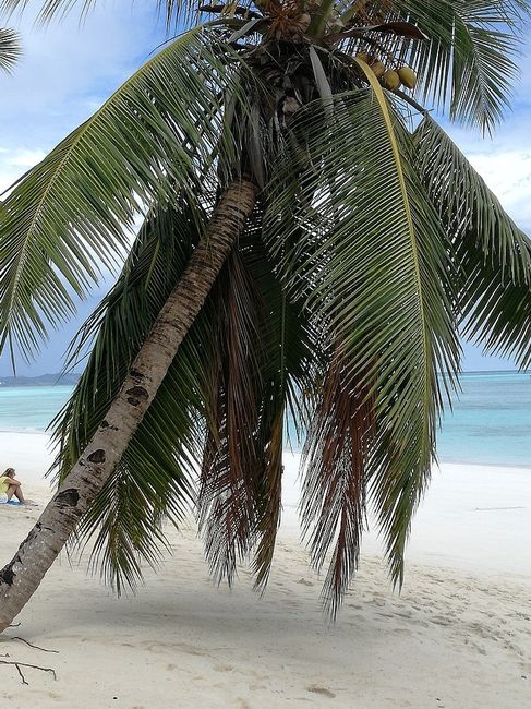 Viaggio di nozze - 2