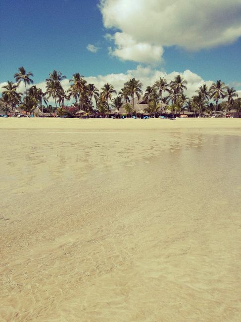 Viaggio di nozze - 4