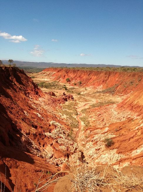 Viaggio di nozze - 6