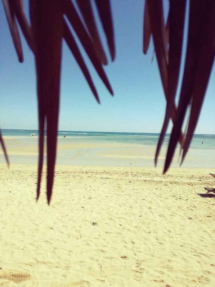  Aiuto ,luna di miele qualche consiglio ? - 3