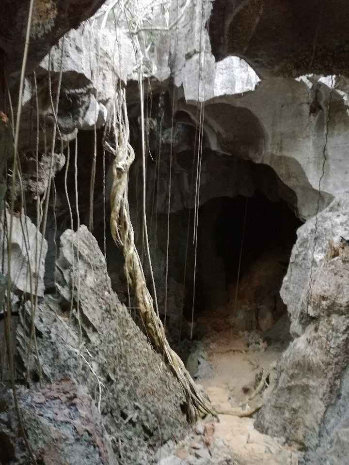 Aiuto ,luna di miele qualche consiglio ? - 3