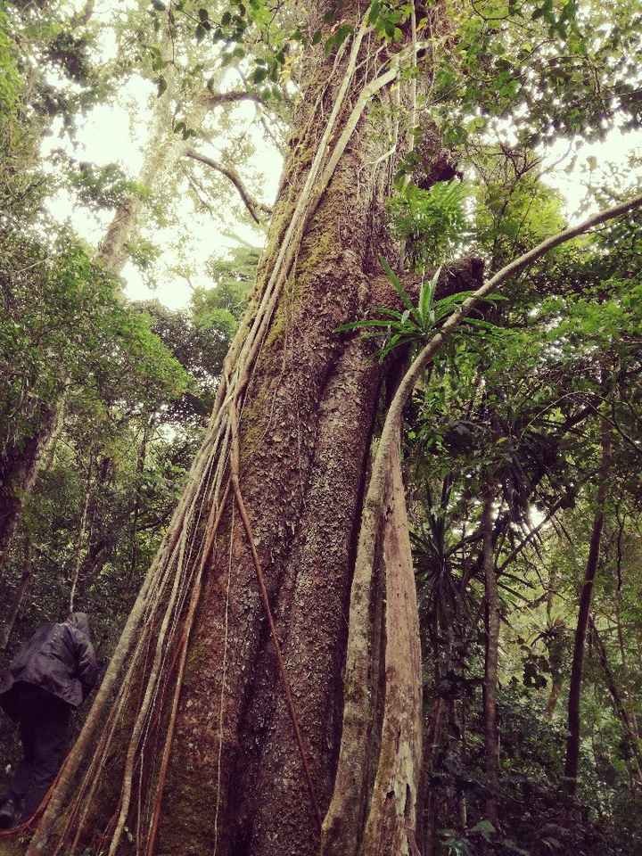 Aiuto ,luna di miele qualche consiglio ? - 4