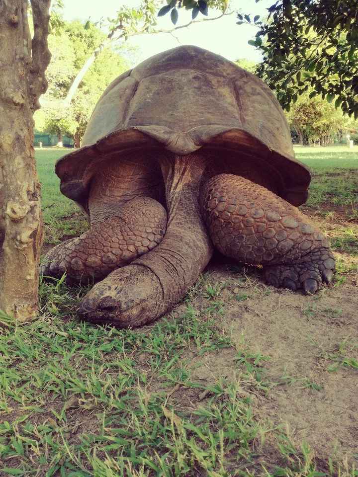 Viaggio di nozze - 1