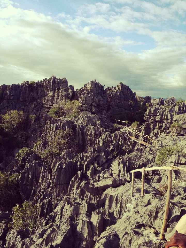 Viaggio di nozze - 5