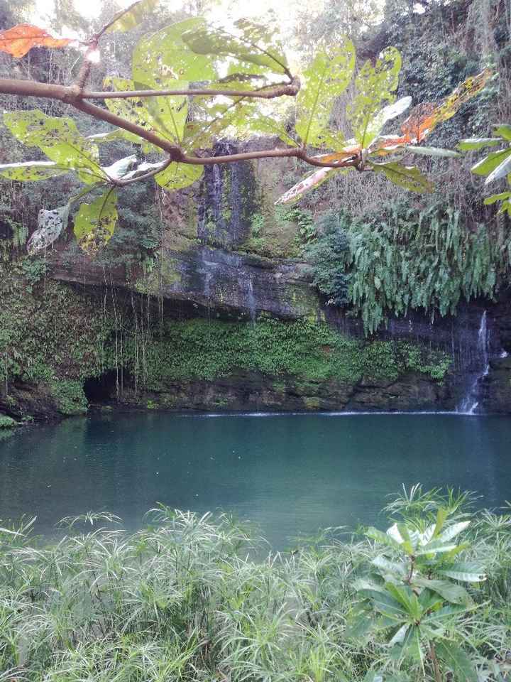 Viaggio di nozze - 7