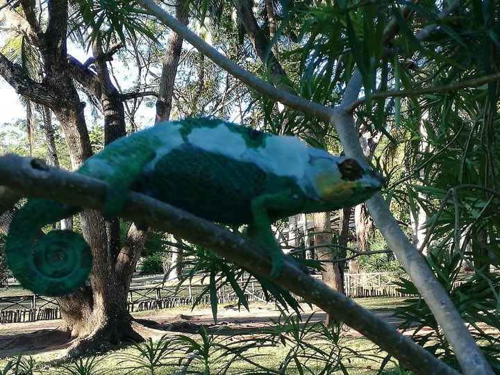 Viaggio di nozze - 13