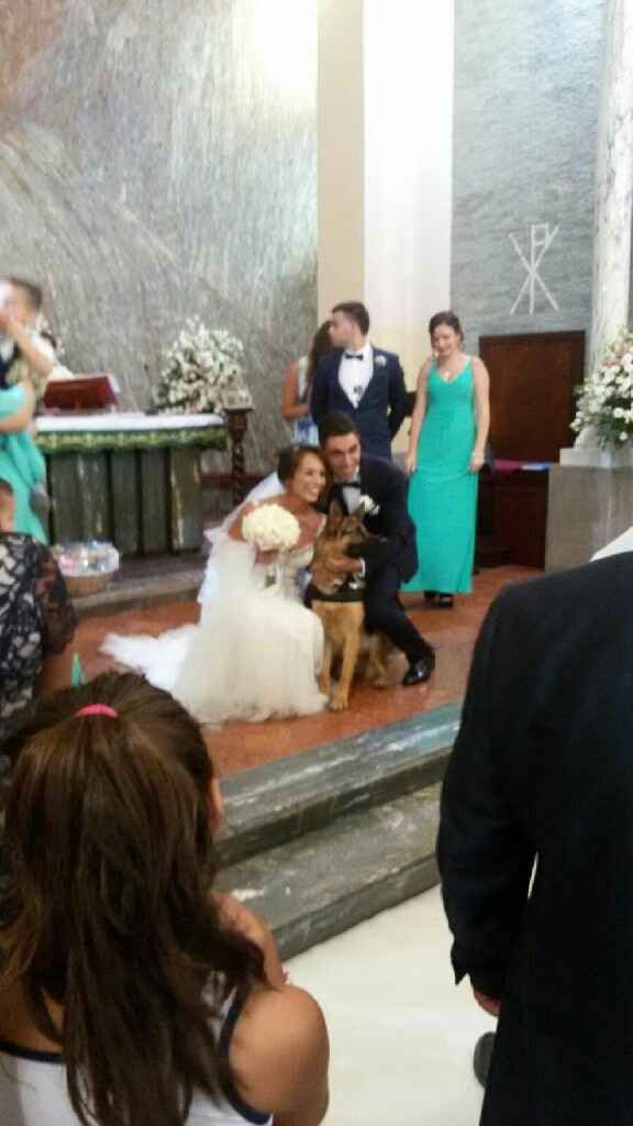 26 agosto 2016- il nostro giorno - 3