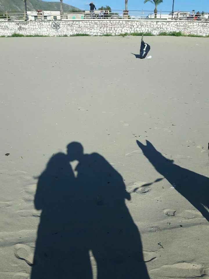 Amici pelosi e non. - 3