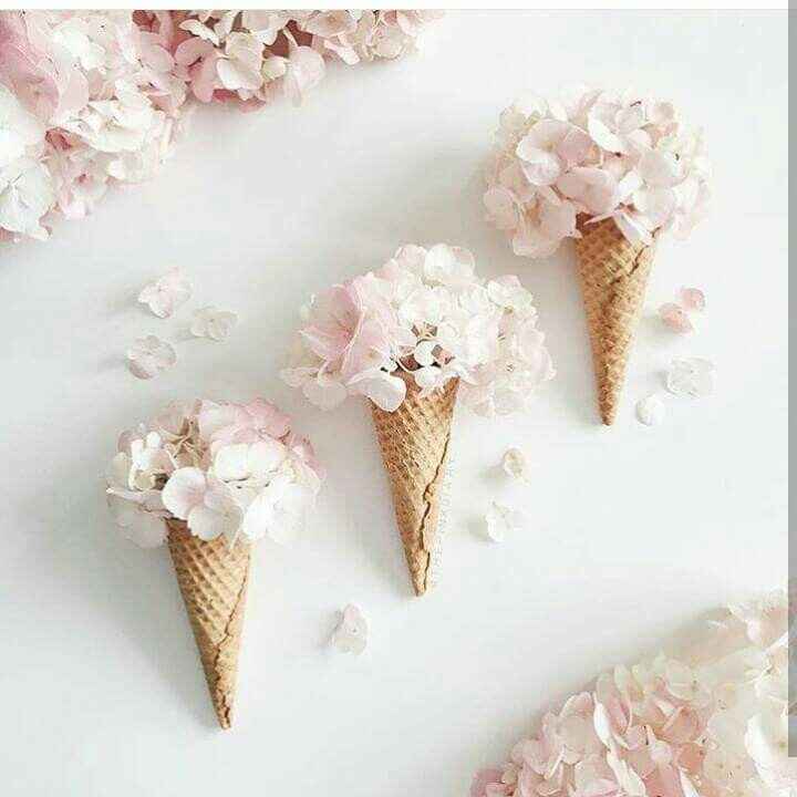 Chi ha il tema gelati? - 1