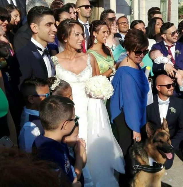 Amici pelosi e non. - 2