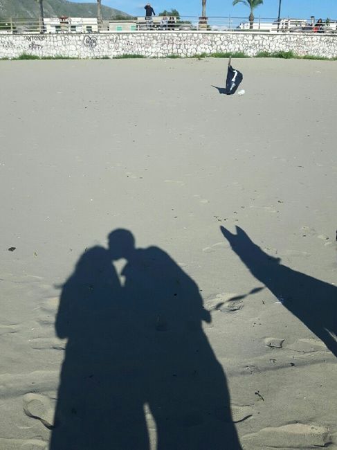 Amici pelosi e non. - 3