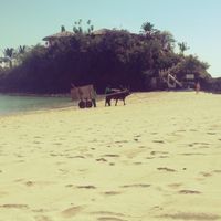 Viaggio di nozze - 8