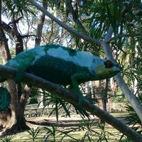 Viaggio di nozze - 13