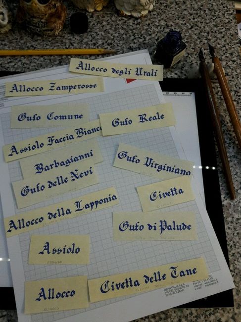 Tutti i miei fai da te...e altro - 7