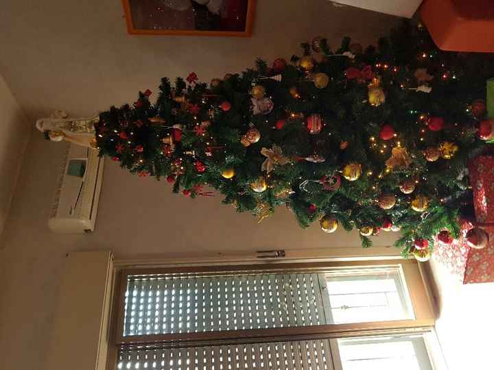 I nostri alberi.... - 1