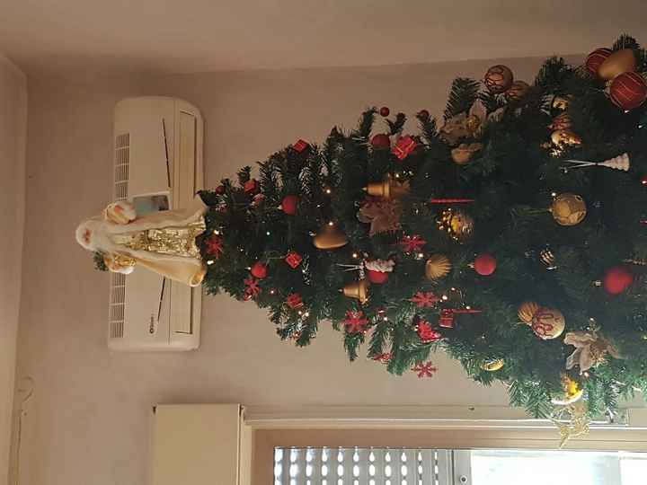 I nostri alberi.... - 3