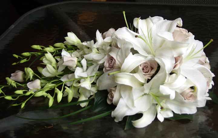 ----------------------------