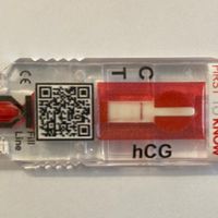 Chi non le aspetta per Novembre 2021 🍀🍀🍀 - 1