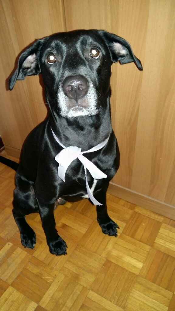 Regalo di san valentino anticipato - 1