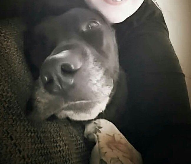 Cane al ricevimento! - 1