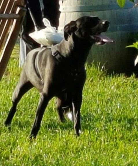 Finalmente sposi 15 maggio 2016 - 7