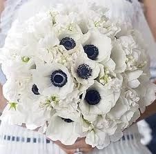 fiori neri e bianchi