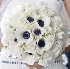 fiori neri e bianchi