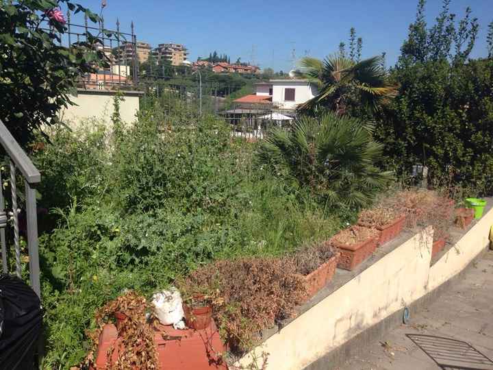 Gardening pre-matrimoniale - 1