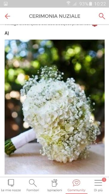 Che tipo di sposa sei ? - 5