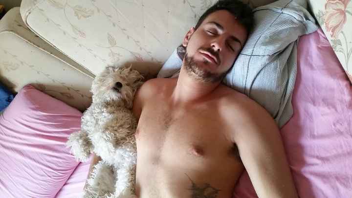 Prenderete un animale domestico? Quale? - 1