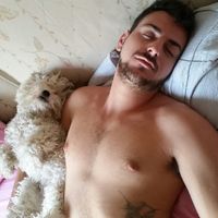 Prenderete un animale domestico? Quale? - 1