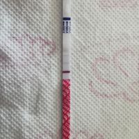 Test canadese gravidanza - 1