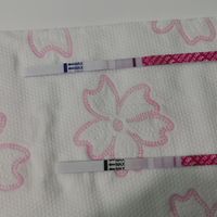 Test canadese gravidanza - 2