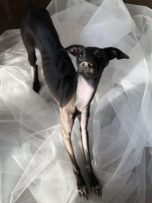 L'amore mio più grande 7